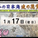 冬の日本海　波の花賞　初　日　10：00～16：10