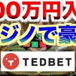 【オンラインカジノ】ギャンブル中毒が100万円でカジノしてみた〜テッドベット〜