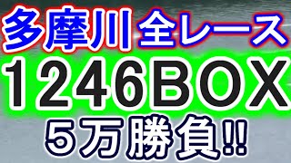 【競艇・ボートレース】多摩川で全レース「1246BOX」５万勝負！！