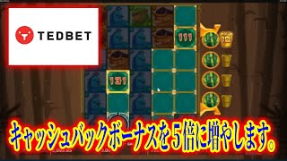 【ネットカジノ】キャッシュバックボーナスで4.4万円から20万円目指す！【テッドベット】