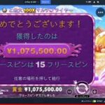 365万円スタートステークカジノ151