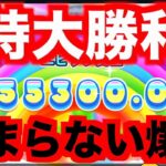 【オンラインカジノ】特大爆益で大勝利確定〜テッドベット〜