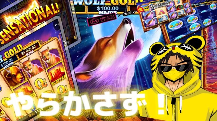 #851【オンラインカジノ｜スロット🎰】Wolf Gold｜このスロットならやらかさず?!｜オンラインカジノを始めよう❣金無し痔主セミリタイヤ月3万円お小遣い代表