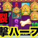 【オンラインカジノ】衝撃の神ベット炸裂で大爆益確定〜ボンズ〜